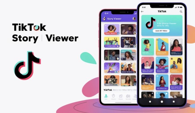 TikTok Story Viewer